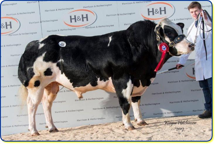 PENDLE KUNG FU PANDA