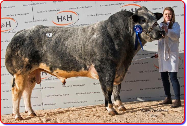 PENDLE JAGER MEISTER