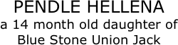 PENDLE HELLENA